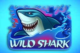 Wild Shark – podwodny slot Amatic z rekinami